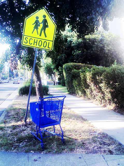 Abandoned Shopping Cart Image